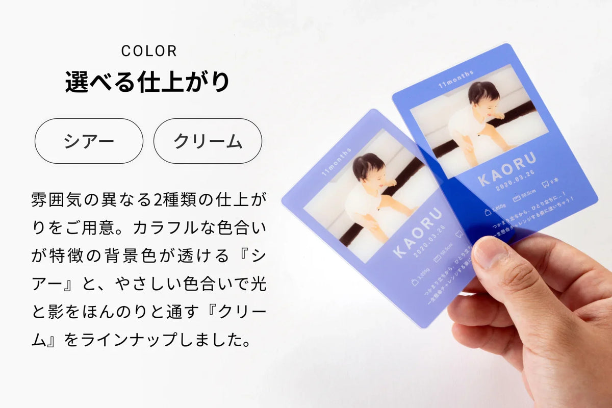COLOR 選べる仕上がり（シアー）（クリーム）雰囲気の異なる2種類の仕上がりをご用意。カラフルな特徴の背景色が透ける『シアー』と、やさしい色合いで光と影をほんのりと通す『クリーム』をラインナップしました。
